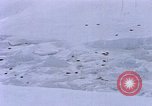 Standbild Huskies der Antarktis, 1950, aus Sekunde 4 historischem Filmmaterial Videoclip 65675029543