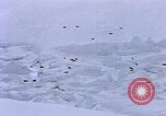 Standbild Huskies der Antarktis, 1950, aus Sekunde 5 historischem Filmmaterial Videoclip 65675029543