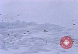 Standbild Huskies der Antarktis, 1950, aus Sekunde 7 historischem Filmmaterial Videoclip 65675029543