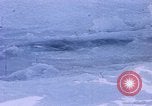Standbild Huskies der Antarktis, 1950, aus Sekunde 33 historischem Filmmaterial Videoclip 65675029543
