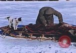 Standbild Huskies der Antarktis, 1950, aus Sekunde 36 historischem Filmmaterial Videoclip 65675029543