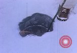 Standbild Admiral Richard Byrd E der Antarktis, 1950, aus Sekunde 38 historischem Filmmaterial Videoclip 65675029545