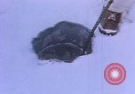 Standbild Admiral Richard Byrd E der Antarktis, 1950, aus Sekunde 39 historischem Filmmaterial Videoclip 65675029545