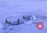 Image of Cold water survival Antarctica, 1950, second 17 stock footage video 65675029546