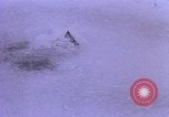 Image of Cold water survival Antarctica, 1950, second 26 stock footage video 65675029546