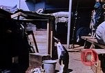 Image of emperor penguins Antarctica, 1950, second 9 stock footage video 65675029547