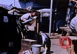 Image of emperor penguins Antarctica, 1950, second 10 stock footage video 65675029547