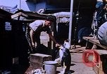 Image of emperor penguins Antarctica, 1950, second 12 stock footage video 65675029547
