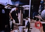 Image of emperor penguins Antarctica, 1950, second 13 stock footage video 65675029547