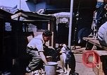 Image of emperor penguins Antarctica, 1950, second 16 stock footage video 65675029547