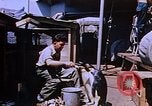 Image of emperor penguins Antarctica, 1950, second 17 stock footage video 65675029547