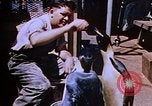 Image of emperor penguins Antarctica, 1950, second 19 stock footage video 65675029547