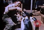 Image of emperor penguins Antarctica, 1950, second 23 stock footage video 65675029547