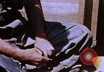 Image of emperor penguins Antarctica, 1950, second 36 stock footage video 65675029547