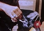 Image of emperor penguins Antarctica, 1950, second 41 stock footage video 65675029547