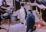 Image of emperor penguins Antarctica, 1950, second 46 stock footage video 65675029547
