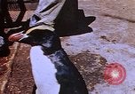 Image of emperor penguins Antarctica, 1950, second 58 stock footage video 65675029547