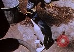 Image of emperor penguins Antarctica, 1950, second 60 stock footage video 65675029547