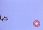 Image of landing vehicle tracked Antarctica, 1950, second 28 stock footage video 65675029548