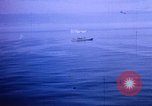 Image of Shackleton Shelf Antarctica, 1950, second 11 stock footage video 65675029550