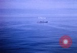 Image of Shackleton Shelf Antarctica, 1950, second 12 stock footage video 65675029550