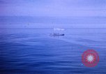Image of Shackleton Shelf Antarctica, 1950, second 13 stock footage video 65675029550