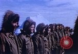 Image of Shackleton Shelf Antarctica, 1950, second 25 stock footage video 65675029550