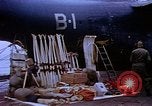 Image of Shackleton Shelf Antarctica, 1950, second 29 stock footage video 65675029550