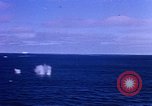 Image of Shackleton Shelf Antarctica, 1950, second 53 stock footage video 65675029550