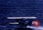 Standbild George 1 Suche rescue der Antarktis, 1950, aus Sekunde 14 historischem Filmmaterial Videoclip 65675029553