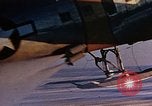 Standbild George 1 Suche rescue der Antarktis, 1950, aus Sekunde 20 historischem Filmmaterial Videoclip 65675029553
