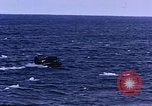 Standbild George 1 Suche rescue der Antarktis, 1950, aus Sekunde 35 historischem Filmmaterial Videoclip 65675029553