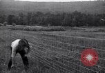 Image of woven wire fences United States USA, 1924, second 44 stock footage video 65675029556