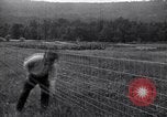 Image of woven wire fences United States USA, 1924, second 45 stock footage video 65675029556