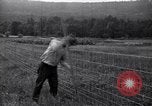 Image of woven wire fences United States USA, 1924, second 47 stock footage video 65675029556