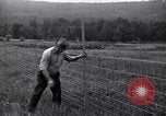 Image of woven wire fences United States USA, 1924, second 48 stock footage video 65675029556