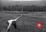 Image of woven wire fences United States USA, 1924, second 49 stock footage video 65675029556