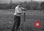 Image of woven wire fences United States USA, 1924, second 51 stock footage video 65675029556