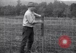 Image of woven wire fences United States USA, 1924, second 53 stock footage video 65675029556