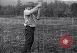 Image of woven wire fences United States USA, 1924, second 54 stock footage video 65675029556