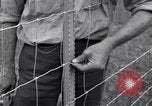 Image of woven wire fences United States USA, 1924, second 57 stock footage video 65675029556
