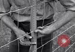 Image of woven wire fences United States USA, 1924, second 58 stock footage video 65675029556
