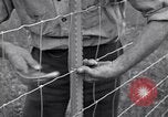Image of woven wire fences United States USA, 1924, second 59 stock footage video 65675029556