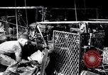 Image of barbed wire United States USA, 1924, second 45 stock footage video 65675029557