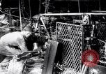 Image of barbed wire United States USA, 1924, second 54 stock footage video 65675029557