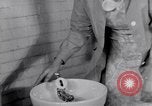 Image d'installations pour les femmes employés United States USA, 1931, de la seconde 27 séquences d'archives historiques vidéo 65675029562