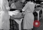 Image femmes salariés United States USA, 1931, de la seconde 22 séquences d'archives historiques vidéo 65675029564