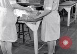 Image femmes salariés United States USA, 1931, de la seconde 24 séquences d'archives historiques vidéo 65675029564