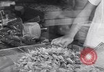 Image of wrapping lollipops United States USA, 1931, second 60 stock footage video 65675029570