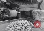 Image of wrapping lollipops United States USA, 1931, second 61 stock footage video 65675029570